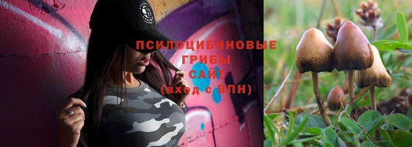 спайс Кулебаки