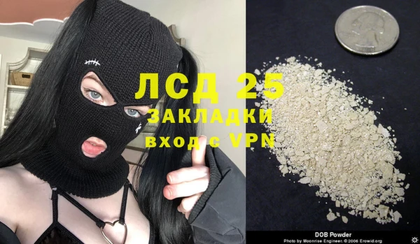 спайс Кулебаки