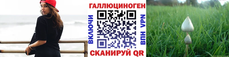 Галлюциногенные грибы GOLDEN TEACHER  MEGA как войти  Ногинск 